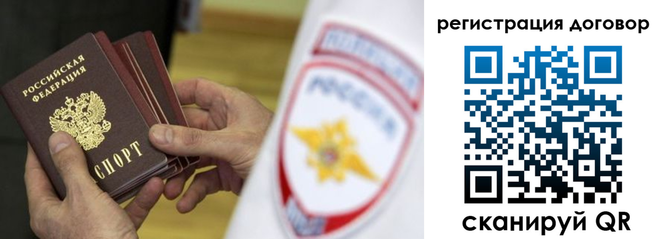 прописка 2025 в Ельне