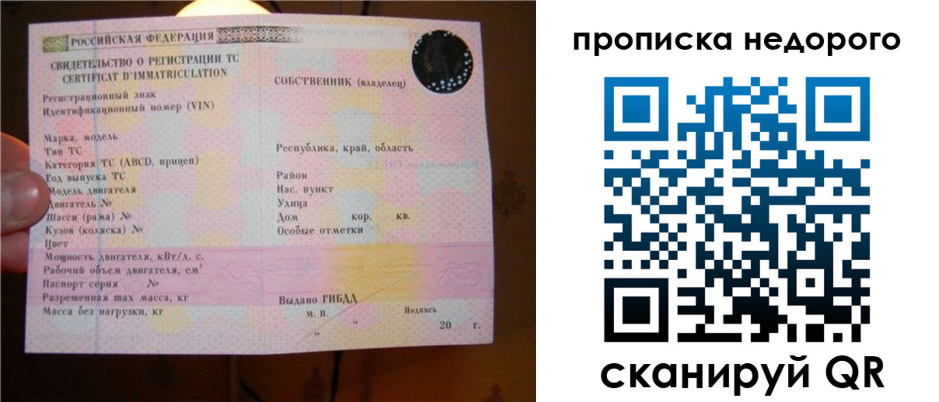 миграционный учет в Ельне